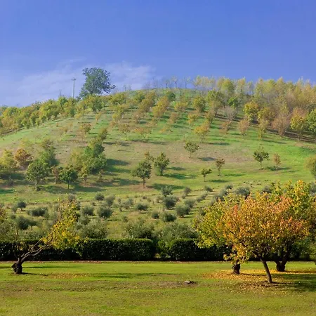 Ca' Malvasia - Bolognarooms 4*